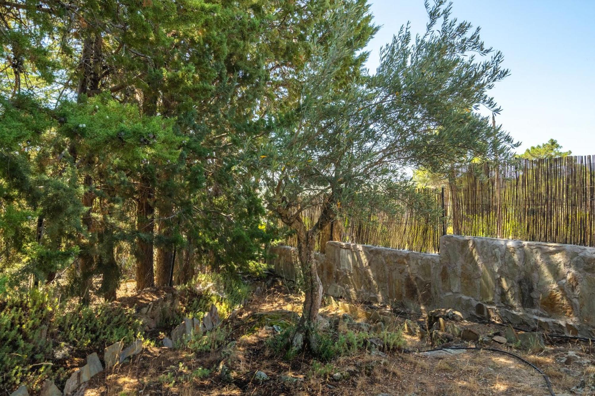 Casa Rural Los Olivos De Robledo De Chavela La Estacion Luaran gambar